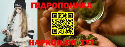 стаф Заводоуковск