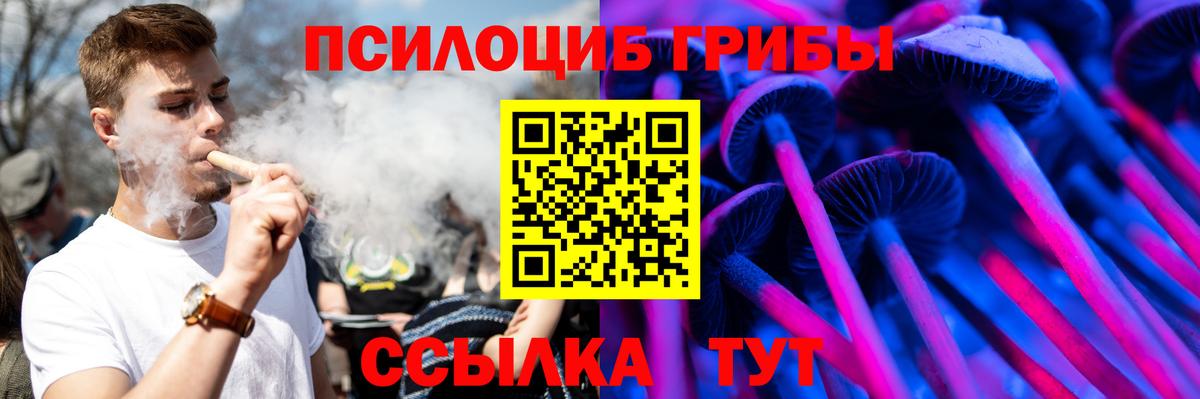 Майкоп  Псилоцибиновые грибы MAGIC MUSHROOMS  Галлюциногенные грибы GOLDEN TEACHER  Вход с VPN 